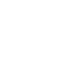 v4